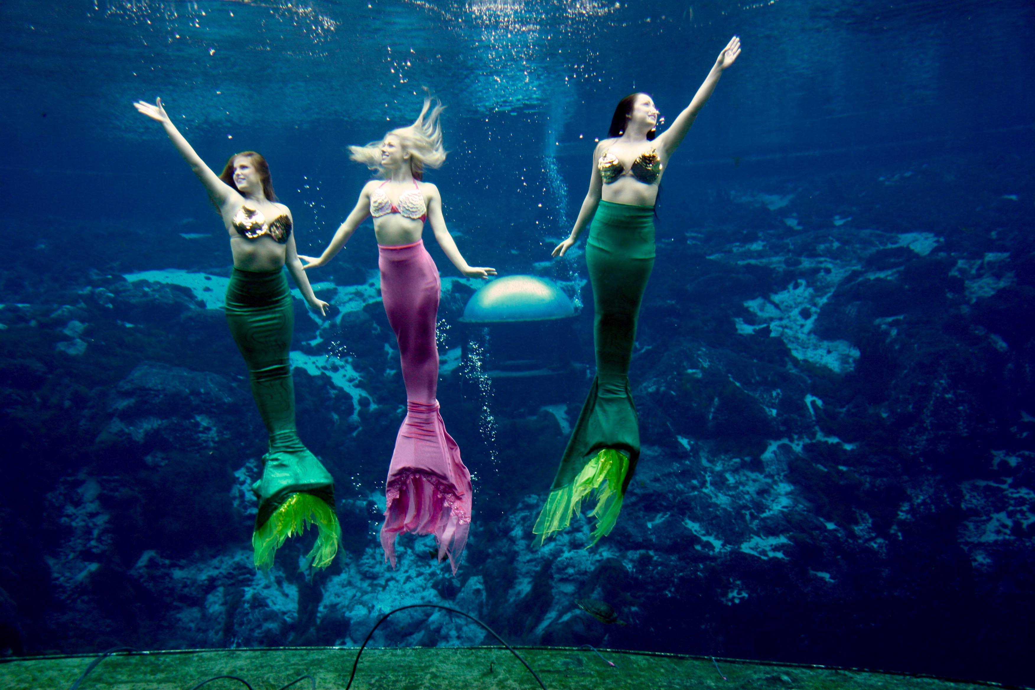 three mermaids of weeki wachee springs performing