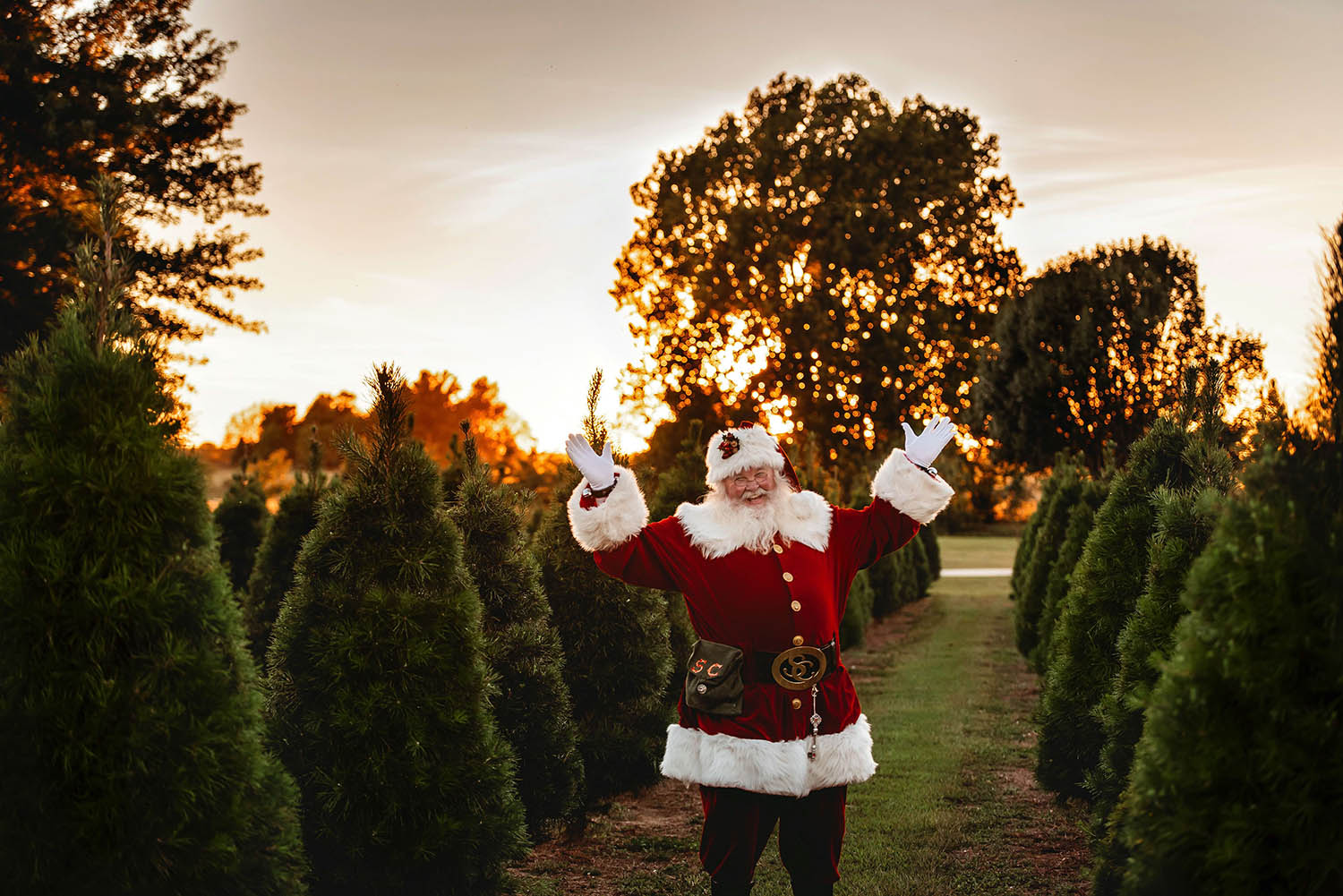 Wonderland Tree Farm Brings Life to Holiday Spirit